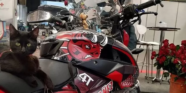 Moto robada en Bogotá