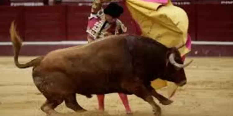 Boyacá, corridas