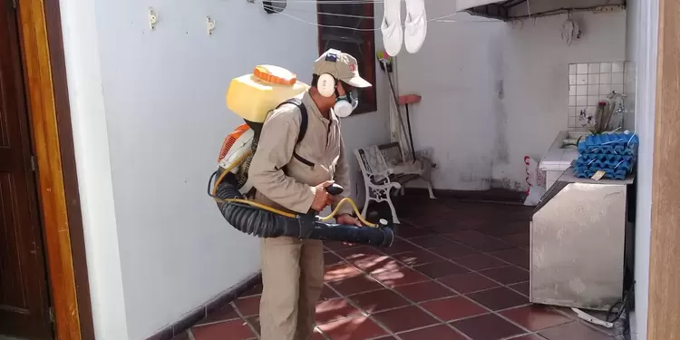Fumigaron varias viviendas que tenían criaderos de mosquitos.