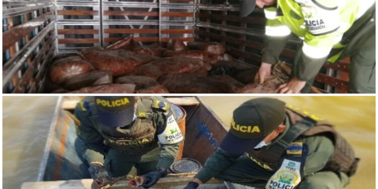 Venezuela, Ecuador