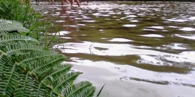 CVC canceló licencia que permitía explotación de materiales de arrastre en río Pance
