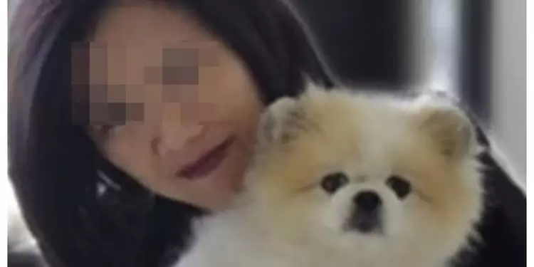 Perro con coronavirus