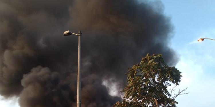 Bus incendiado Bus incendiado