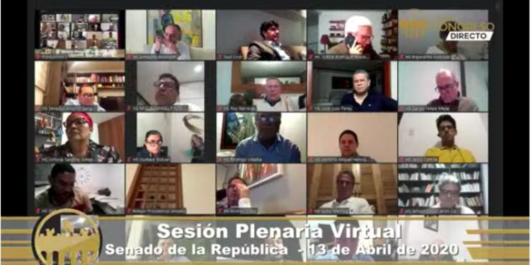 Sesión virtual Congreso