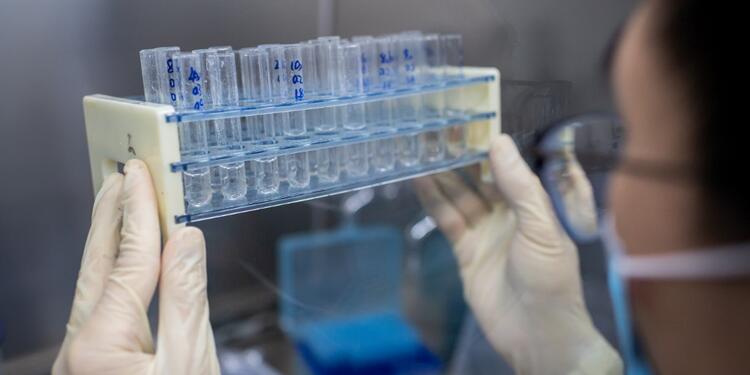 Vacuna contra coronavirus