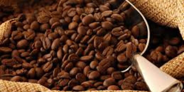 Sacos café