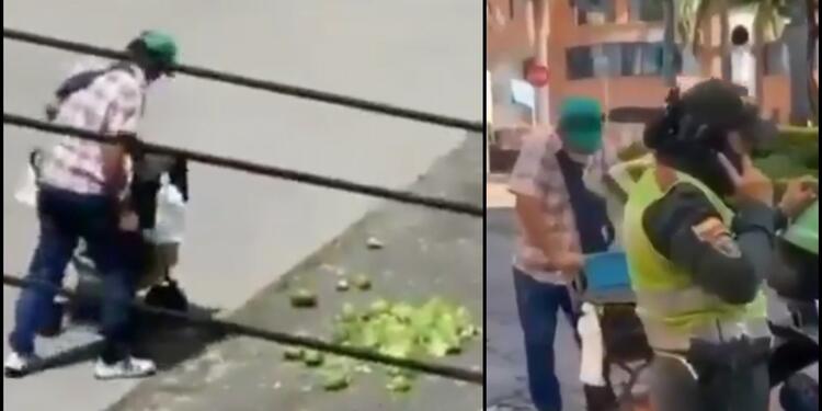 Vendedor de aguacates le ponen multa
