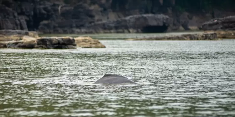 Turismo de Naturaleza en la Amazonia.