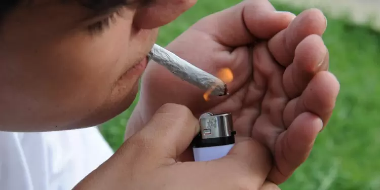 Ciudadano consume marihuana Ciudadano consume marihuana