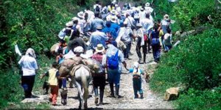 Desplazamiento de familias campesinas en Norte de Santander