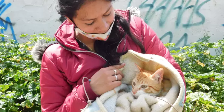 Proyecto de ley para cuidadoras y rescatistas de animales en abandono Proyecto de ley para cuidadoras y rescatistas de animales en abandono