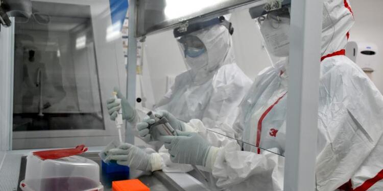 Las muestras no podrán ser procesadas en el laboratorio.