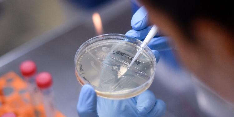 Vacuna contra el coronavirus