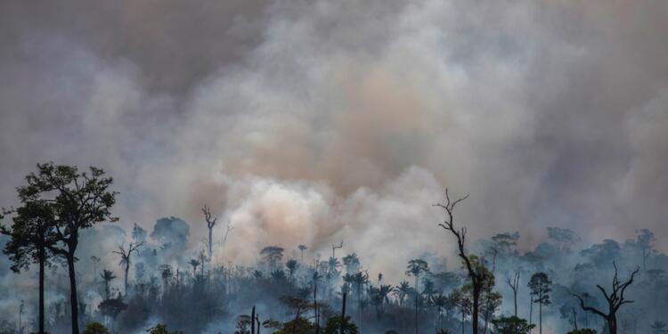 Incendios en la Amazonía brasileña