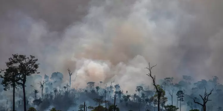 Incendios en la Amazonía brasileña