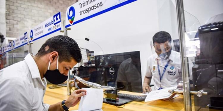 Trámites Secretaría de Movilidad de Ibagué