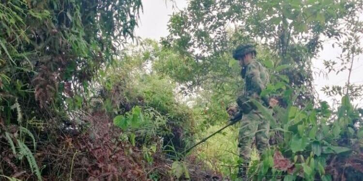 Referencia soldados del Ejército Nacional.