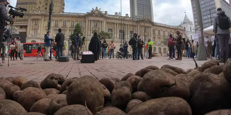 Sobreoferta de papa en Colombia: protesta de paperos en Ministerio de Agricultura