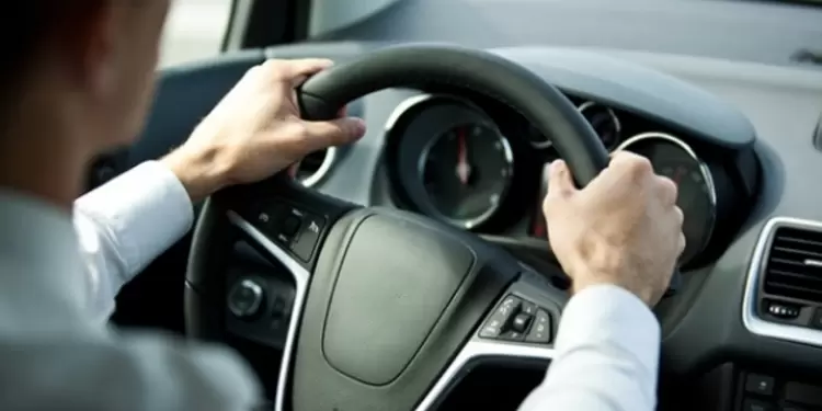 piloto automóvil