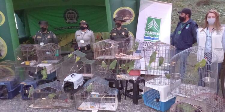 Rescate animales Carder y Policía Ambiental