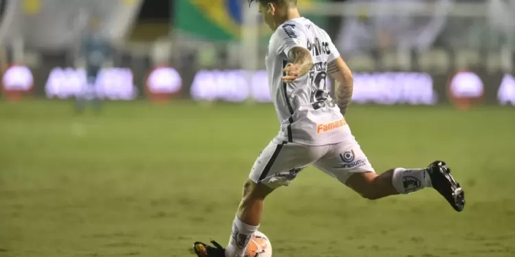 Santos - Copa Libertadores Santos - Copa Libertadores
