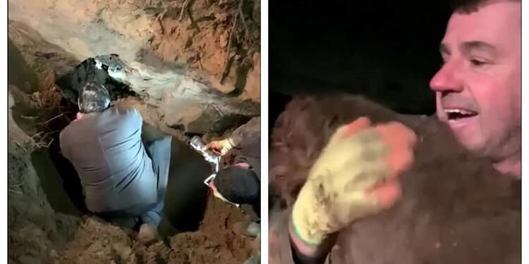 Rescate de perro con sordera Dizzy de la BBC