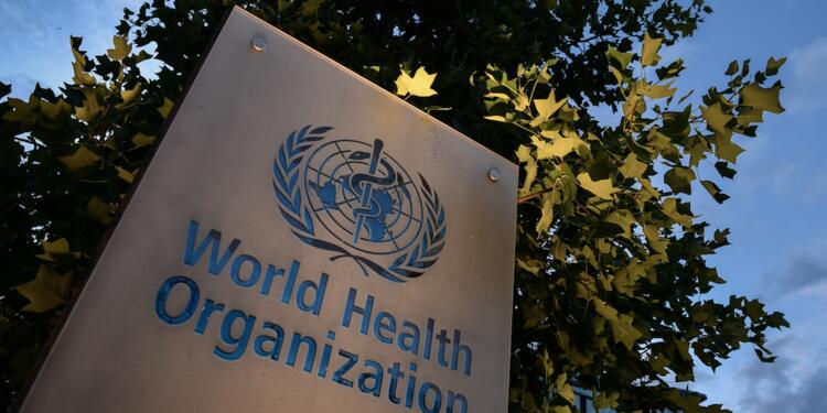 Organización Mundial de la Salud (OMS)