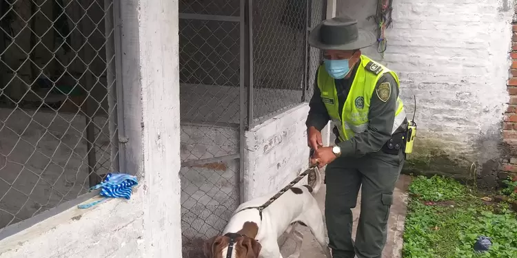 El caso ocurrió en Tuluá, Valle.
