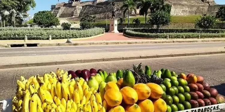 Cartagena pionera en reactivación