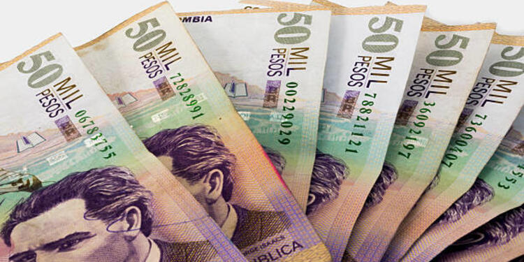 Pagos de Ingreso Solidario