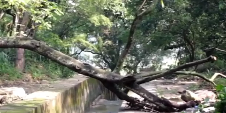 Inundadas 35 viviendas en Bucaramanga por las fuertes lluvias