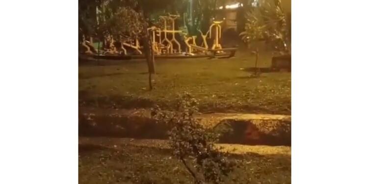 Fantasma en parque de medellin grabado en parque Alfonso López Fantasma en parque de medellin grabado en parque Alfonso López