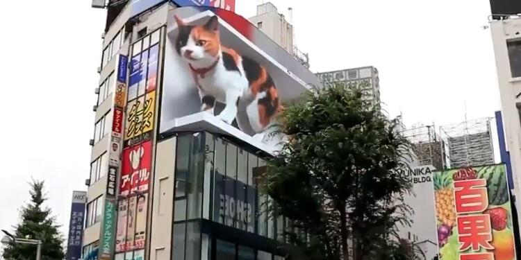 Gato 3d en Shinjuku