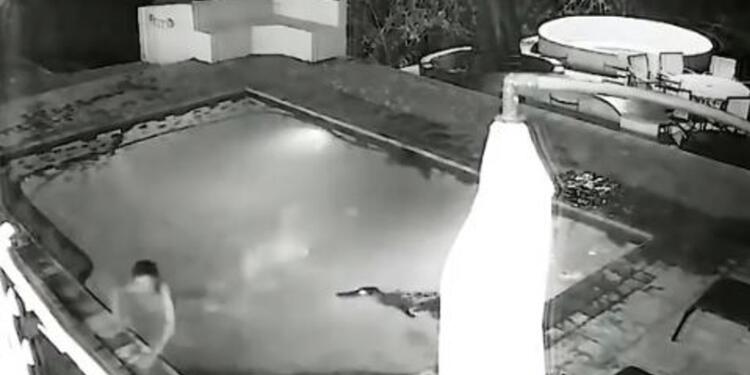 Cocodrilo ataca a mujer en piscina