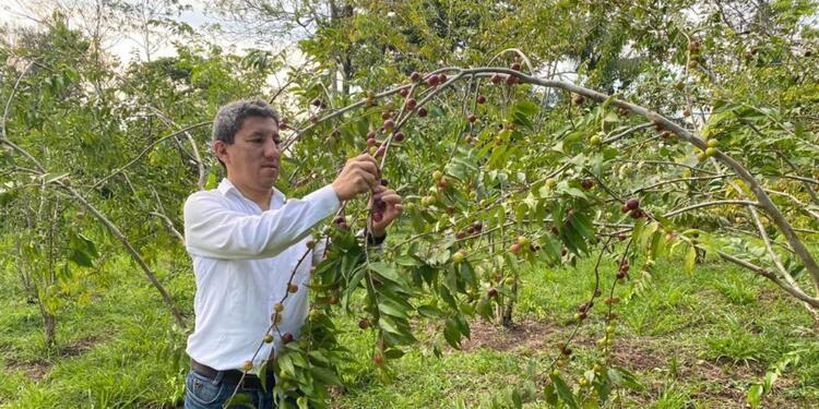 Corpocampo crea tienda virtual con productos de campesinos de zonas de conflicto