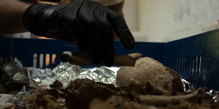 Se recuperaron más de 17.000 piezas de cerámica en un hallazgo arqueológico