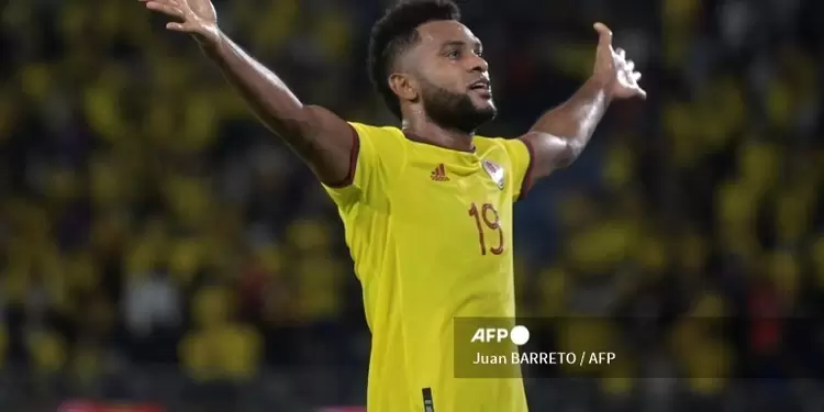 Miguel Ángel Borja, Selección Colombia