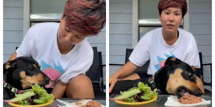 Mujer y perro en TikTok
