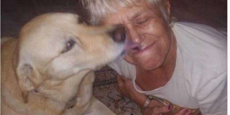 Mujer salva a su perro de caimán Mujer salva a su perro de caimán