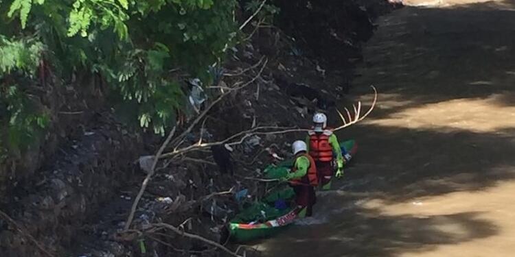 Organismos de socorro rescatan cuerpo de al parecer menor desaparecido hace una semana en Santa Marta