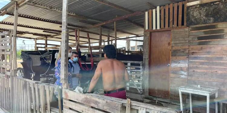 Procuraduría pidió restablecer derechos de menores de edad que viven en las pesebreras de Cartagena