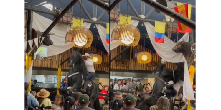 Caballo se cae en restaurante de Bogotá y causa pánico