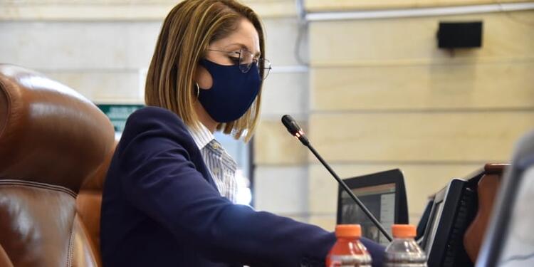 Jennifer Arias, presidenta de la Cámara