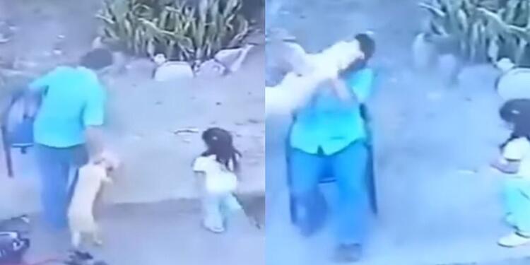 Hombre maltrata a un Perrito