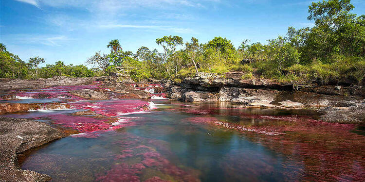 Parques Naturales de Colombia Parques Naturales de Colombia
