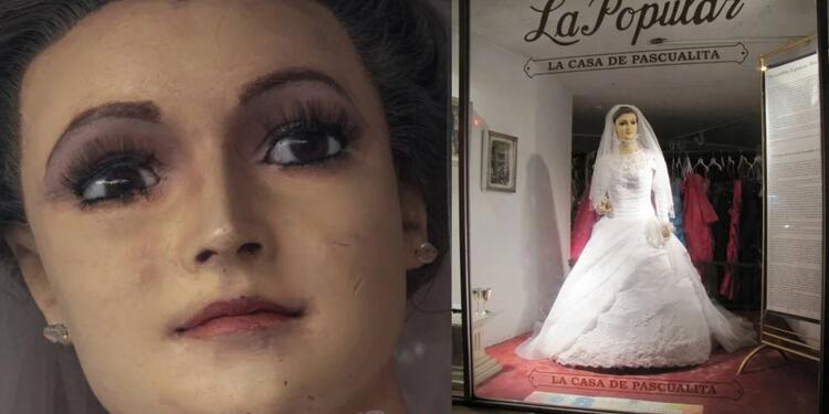 ‘La Pascualita’ ‘La Pascualita’