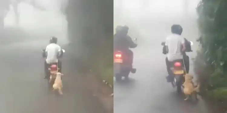 Perro arrastrado por una moto en Risaralda