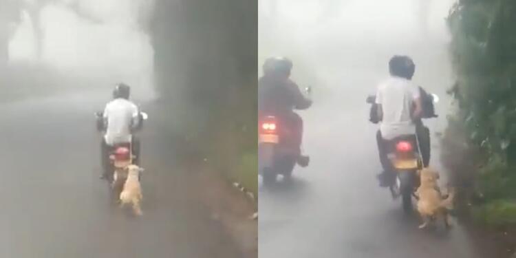 Perro arrastrado por una moto en Risaralda