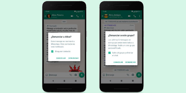 Reportar usuario de WhatsApp