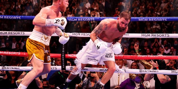 Canelo Álvarez Canelo Álvarez